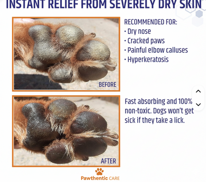 Pawthentic Paw & Nose Repair Balm™